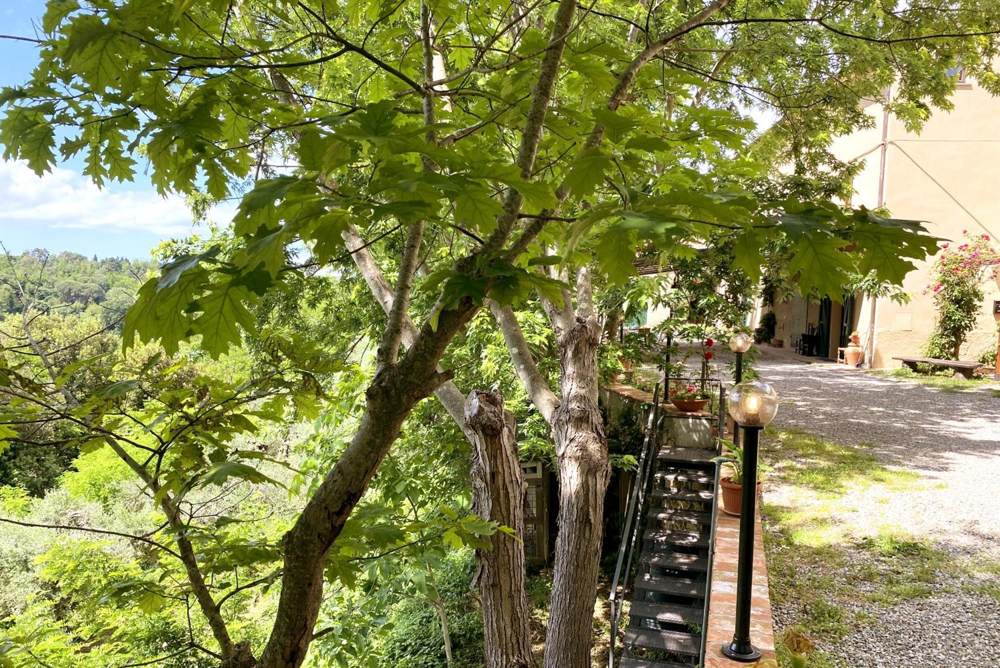 La Tonnaia Apartment Lari Exterior photo